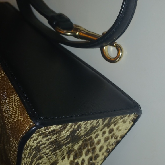 Coach Pepper - Picture 14 of 16